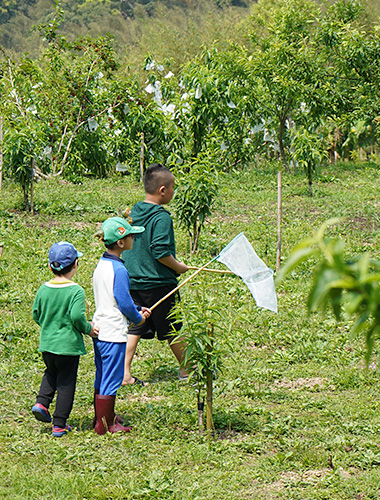 For Index 380x500 For Index 380x500